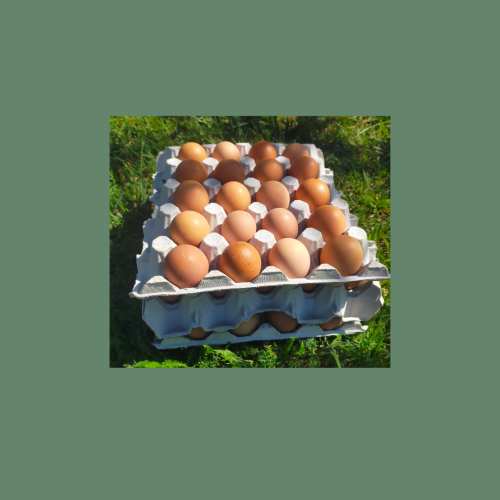 60 Little Eggs - Size 5